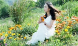 拾花摄麻豆,探寻自然之美与时尚风采的完美融合