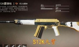 吃鸡爆料枪皮最新,全新枪皮登场，视觉盛宴即将开启！