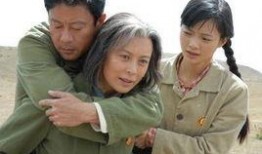 戈壁母亲电视剧全集,穿越岁月的坚韧与爱