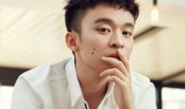 董子健演过的电视剧,从青春校园到都市情感，演绎多面人生