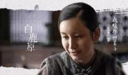 电视剧《白鹿原》,探寻历史变迁中的家族命运与人性挣扎