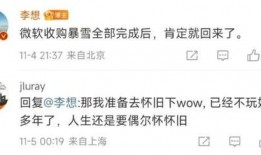 职业选手爆料国服视频,国服高玩操作背后的秘密与技巧