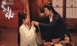 将军家的小娘子电视剧,乱世情缘，烽火佳人