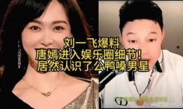 爆料娱乐圈细节小说,揭秘明星们的真实生活