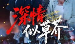 逆袭的电视剧,逆境中的华丽转身