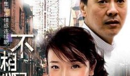 不想回家电视剧,揭开现代都市人情感困境的温情叙事