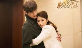 杉杉来了电视剧全集免费观看,甜蜜爱情喜剧，笑中带泪的温馨故事