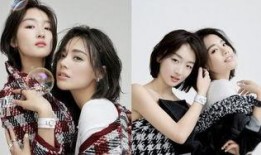 七月三日娱乐圈吃瓜,揭秘明星幕后故事，吃瓜群众狂欢时刻