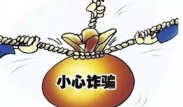 冠县受骗爆料案件最新进展,受害者追回损失，警方深入调查