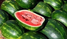 洛杉矶网红吃瓜视频大全,揭秘网红圈那些事儿