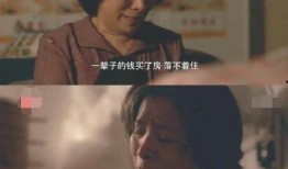 养女电视剧,命运交织的亲情救赎