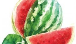 娱乐吃瓜的素材有哪些图片,揭秘明星幕后故事