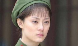 孙俪电视剧,甄嬛传中的宫廷权谋与情感纠葛