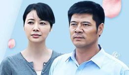 乡里彩虹城里雨电视剧,跨越城乡的青春旋律