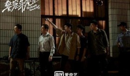 警察荣誉电视剧,忠诚守护，正义之光