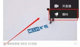 今日视线爆料能得多少钱,揭秘收益惊人，揭秘爆料能赚多少钱