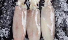 冰鲜大鱿鱼爆料方法视频,轻松解锁美味烹饪秘诀