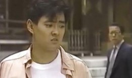 希望之鸽电视剧在线观看,穿越时空的守护传奇