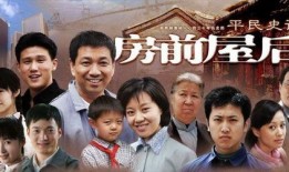 房子 电视剧,揭开都市生活背后的情感密码