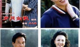 90年代电视剧,90年代电视剧经典回顾