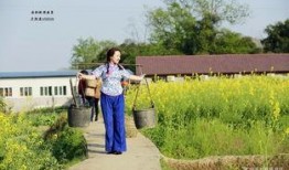 麻豆乡,历史悠久的台湾文化古镇之旅