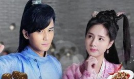 花间提壶大厨电视剧,花间提壶大厨的匠心烹饪传奇