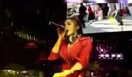 李子柒夜店爆料视频网站,揭秘网红生活幕后真相