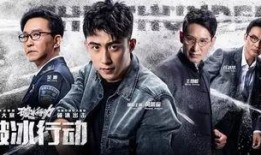 警匪缉毒片电视剧大全,警匪激战，正义与邪恶的较量