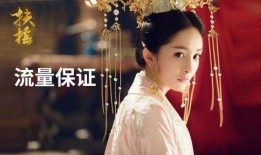 清轩复仇记古装电视剧,宫廷风云，爱恨交织