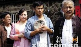 再见阿郎电视剧,深情告别，谱写人生传奇