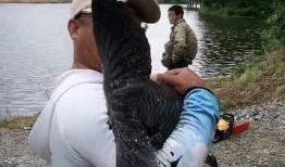 大杨哥被爆料钓鱼视频是真的吗,真相究竟如何？