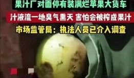 香港大瓜爆料视频在线观看,独家揭秘幕后真相