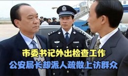 公安局长电视剧,铁血铸忠诚，正义铸辉煌