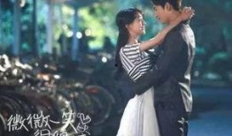 爱你是我做过最好的事电视剧,浪漫邂逅，谱写甜蜜爱情篇章