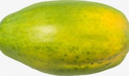 吃瓜素材绿幕下载免费,吃瓜素材轻松获取！