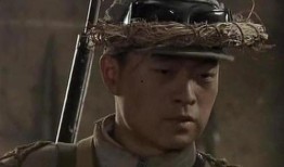 电视剧 雪豹,烽火岁月里的英雄传奇