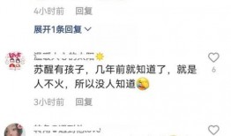 苏醒借钱爆料了吗视频,揭秘娱乐圈借贷风波