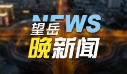 泰安负面新闻爆料事件视频,真相与争议交织