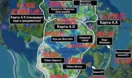 枫丹新人物爆料视频大全,爆料视频大全深度解析