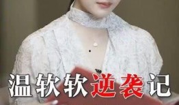 电视剧韩剧大全,穿越时空的情感之旅