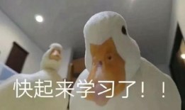 爆料鸭子吃药视频大全,鸭子吃药瞬间，视频大全带你一探究竟