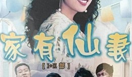 家有仙妻电视剧,穿越时空的奇幻爱情之旅