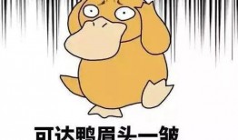 吃瓜网红小逗逗送外卖,吃瓜网红的送餐日常