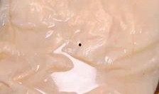 麻豆油,天然护肤圣品，揭秘其神奇功效与使用方法