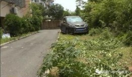 竹林小区新闻爆料事件,揭秘邻里纠纷背后的真相