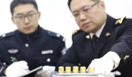 大连海关爆料事件最新