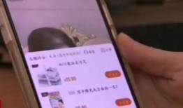 二狗爆料视频在线观看,揭秘幕后真相，带你直击事件现场