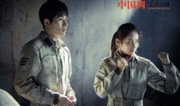 密码电视剧,揭秘国家安全背后的生死较量