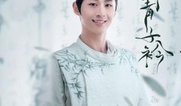 电视剧青青,青春岁月里的梦想与成长