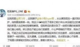 卓伟爆料动漫视频,揭秘动漫界幕后真相，独家视频大揭秘！